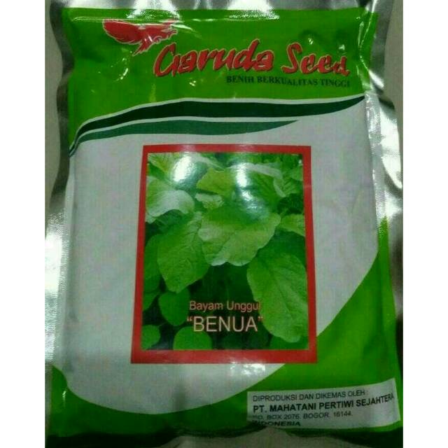 Bibit Bayam 500Gram Benih Bayam Hijau Bibit Bayam Hijau Bibit Sayur bayam