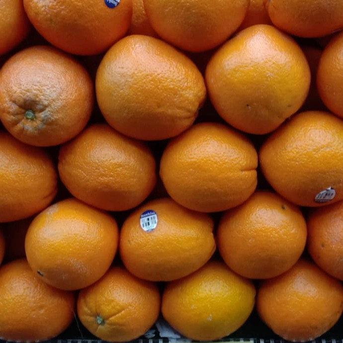 

SUNKIST NEVAL USA PER KILO