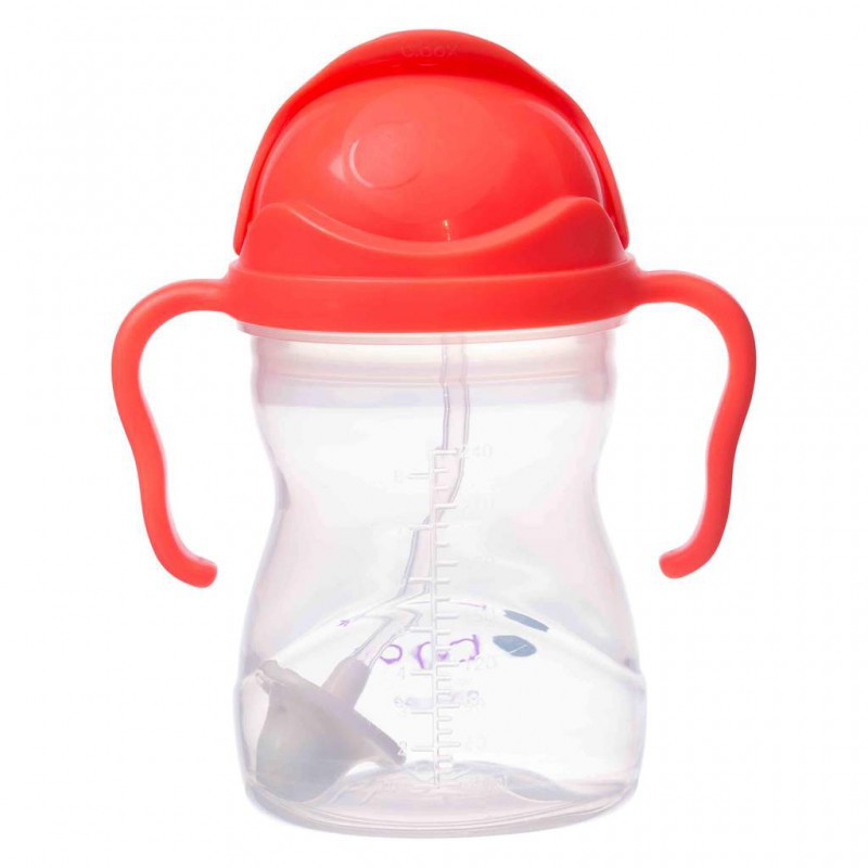 Bbox Sippy Cup 240 ml – Watermelon