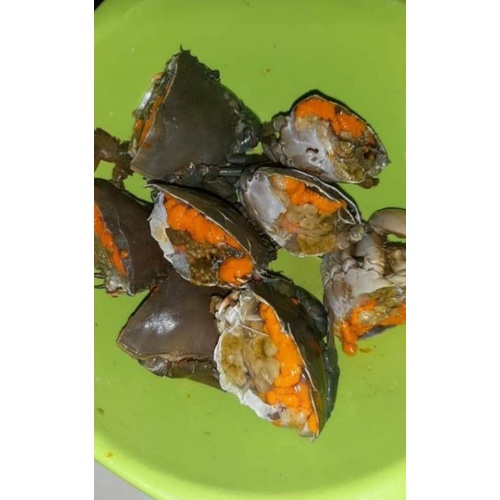 

kepiting telur