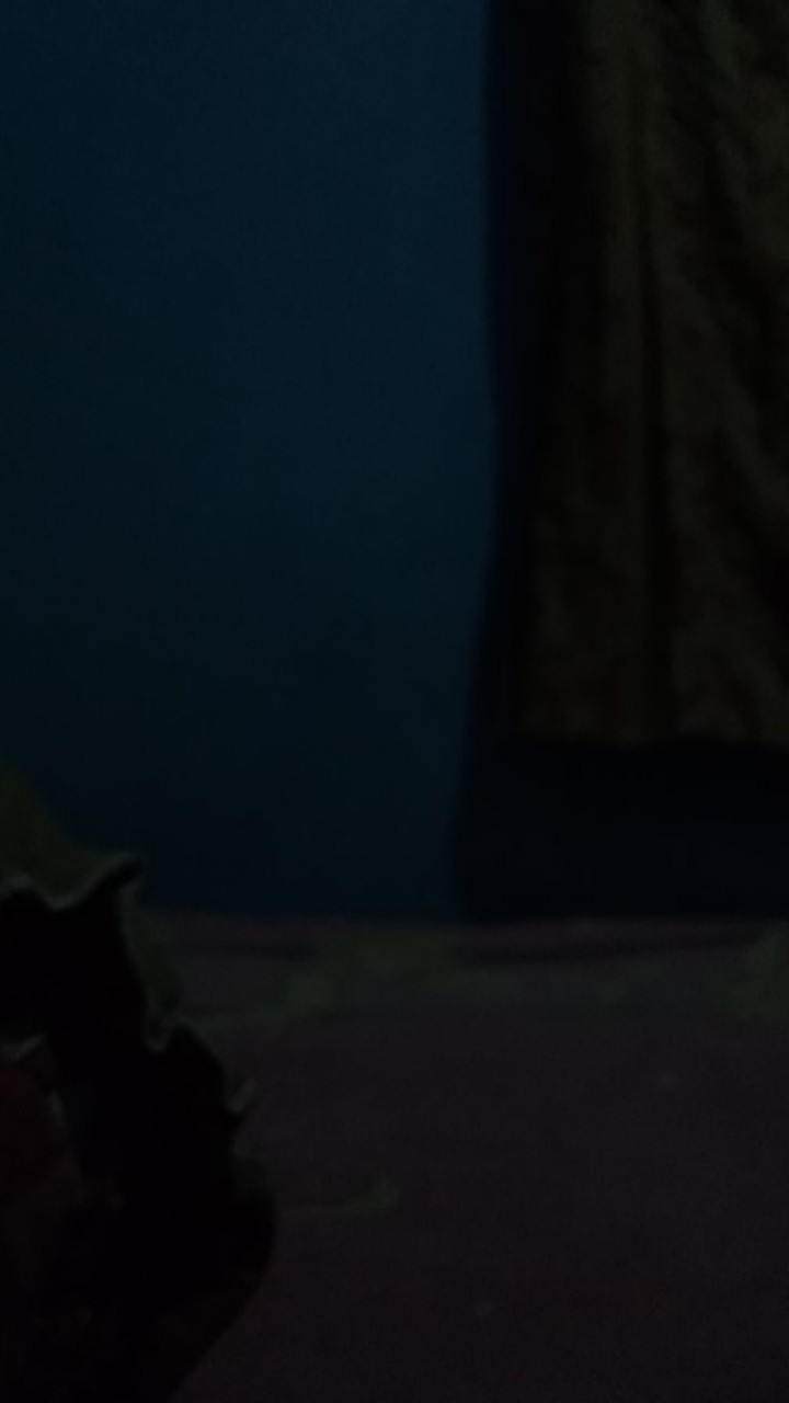 Gantungan Jilbab Hanger Jilbab (hjo) Termurah Ongkir Lebih Murah Tempat Jilbab,hanger Kerudung