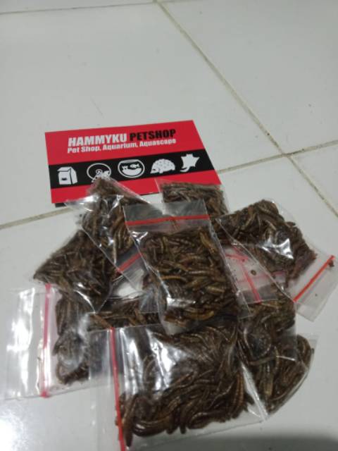 MAKANAN HAMSTER - MAKANAN SUGAR GLIDER - DRIED MEALWORM