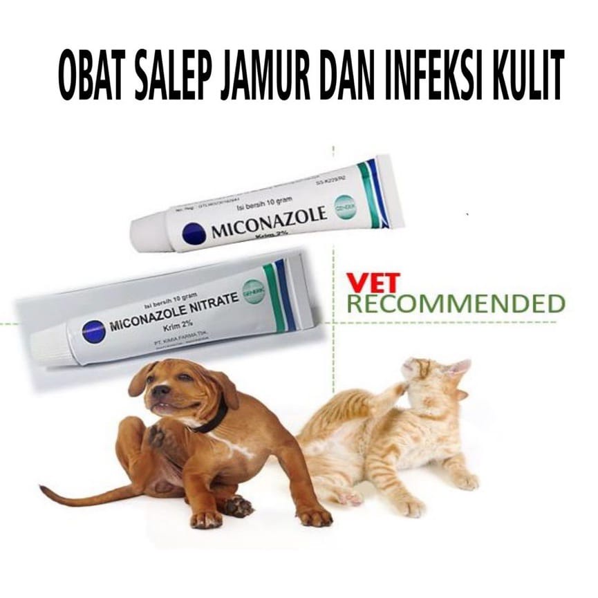 PH.Medan MICONAZOLE NITRATE 10gr - Obat Salep Jamur Kucing Anjing