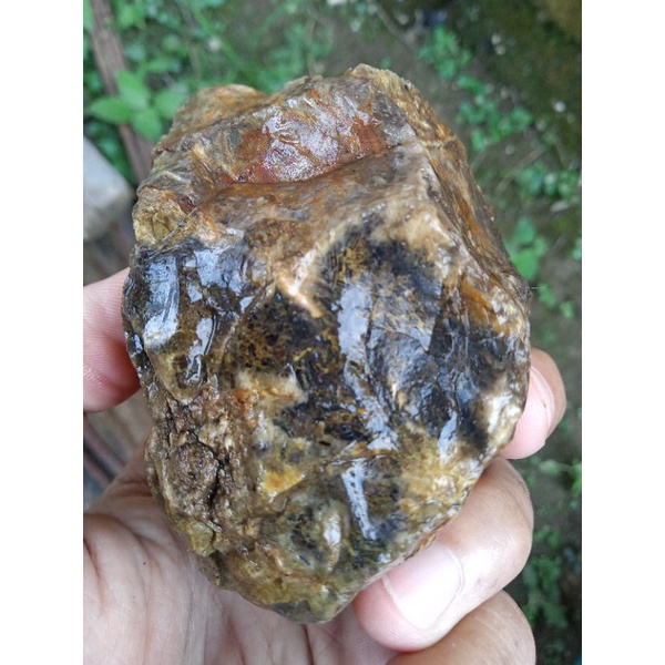 Batu Bulu Harimau / Macan Pasaman ( Rough Bahan Batu Akik Fosil Natural - bukan giok opal kecubung )