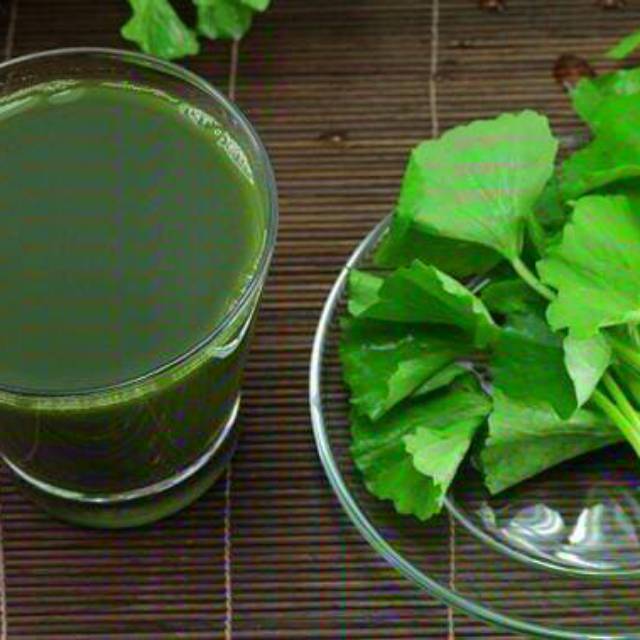 

Daun pegagan organik segar 100 gram