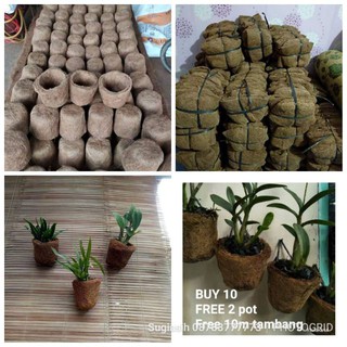  Pot  anggrek  vas anggrek  Shopee  Indonesia