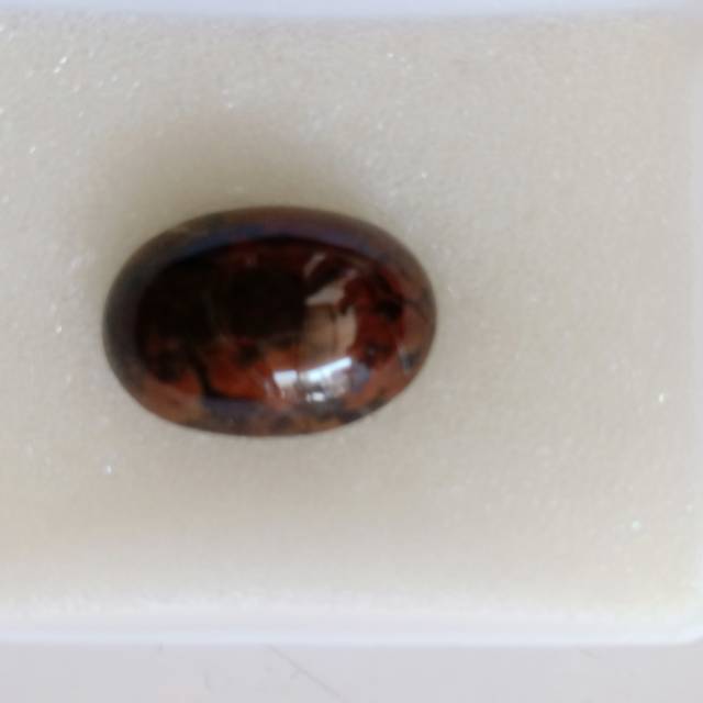 

BRB049 Brown Borneo Kalimantan