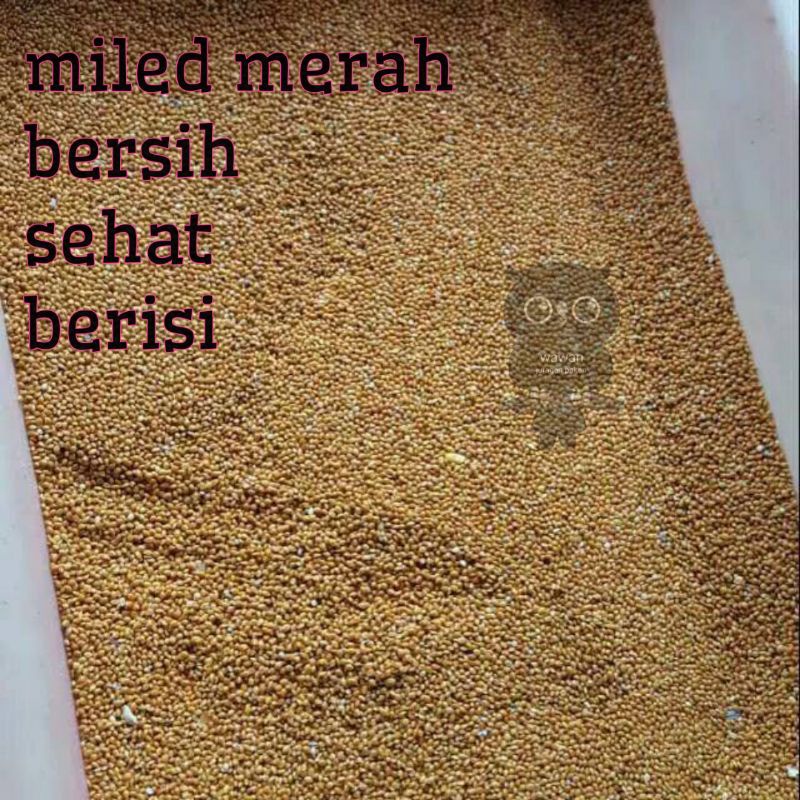 miled merah, PAKAN CAMPURAN MILED MERAH