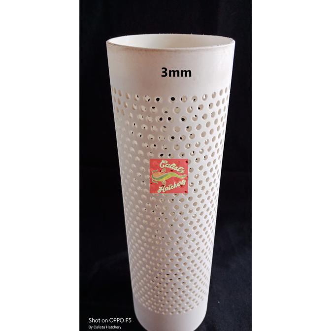Promo Termurah Pipa Saringan Kolam Paralon 4 Inch Panjang 40Cm Lubang 3Mm Kualitas Super