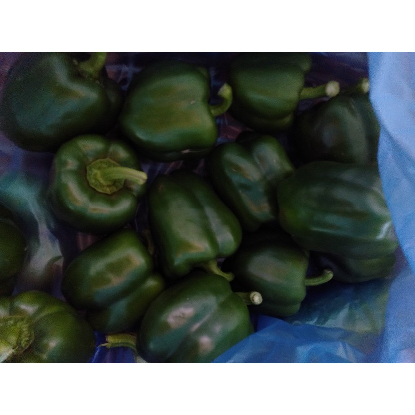 

Paprika Sayur Segar~Paprika Sayuran Segar sebanyak 500gram