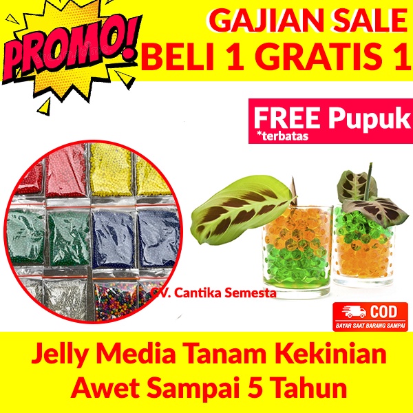 (PROMO) Jelly Media Tanam Tanaman Hias Hidrogel Tanaman Indoor Bunga Awet 5 tahun Pupuk siap pakai
