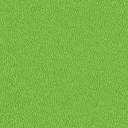 MBTECH CAMARO FIESTA MB7007 Tropicana