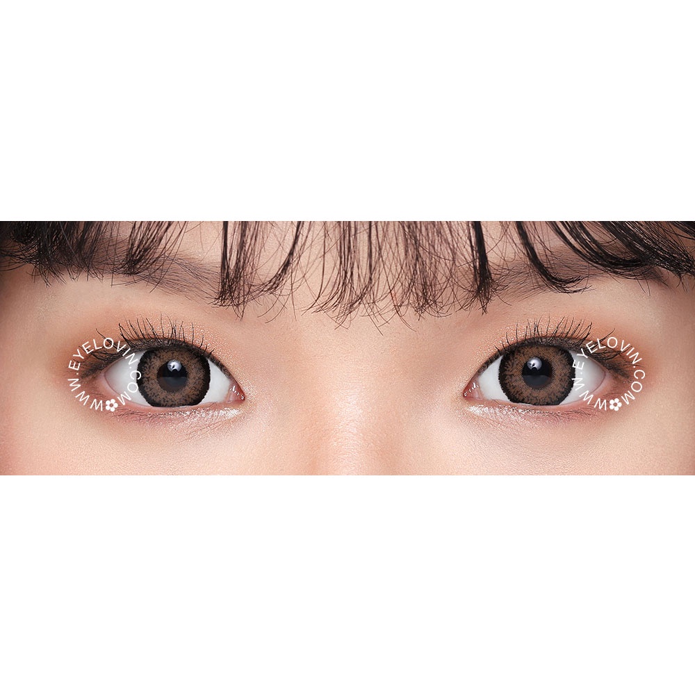 EYELOVIN Softlens Mite Clair - Giana Brown