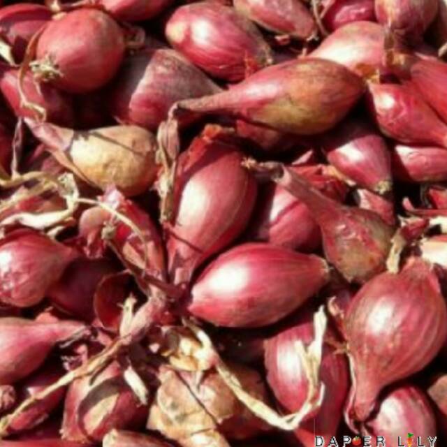 

Bawang Sumenep