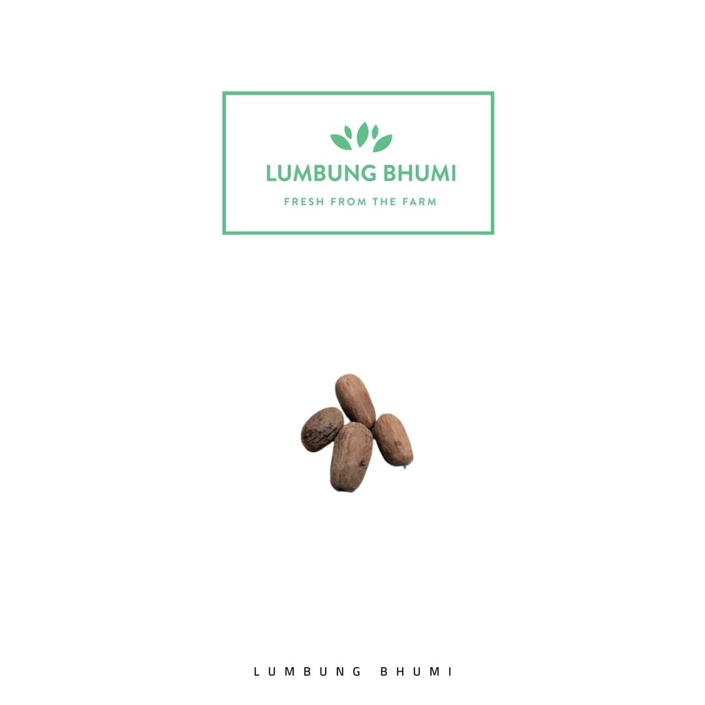

Lumbung Bhumi - Biji Pala 20 Gr ( Bumbu Dapur )