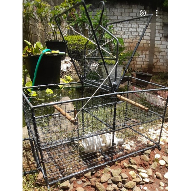 iron bird trap sangkar jebakan burung besi siap Export ke 7 Negara