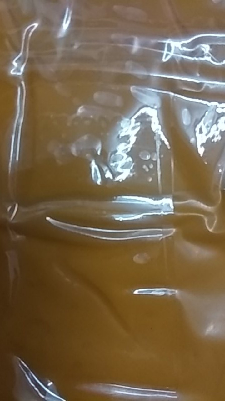 Perangkap Kecoa Hoy Hoy Asli Jepang Bukan Racun Tikus Isi 5 Rumah