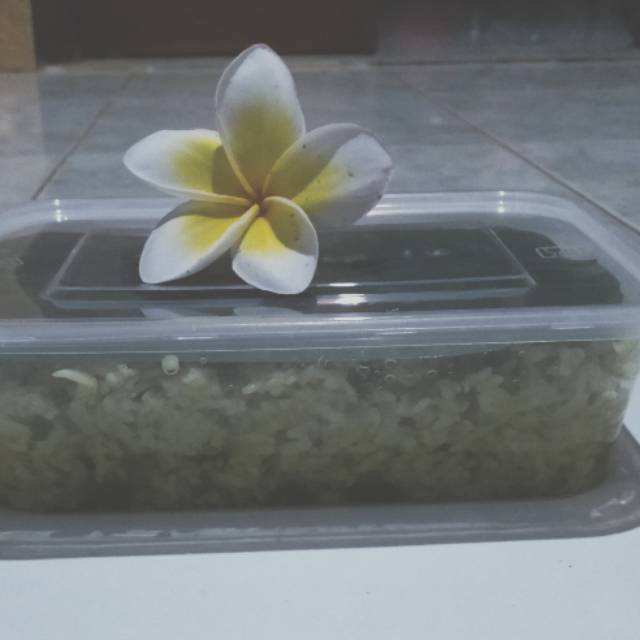 

Tapeketan kayu manis