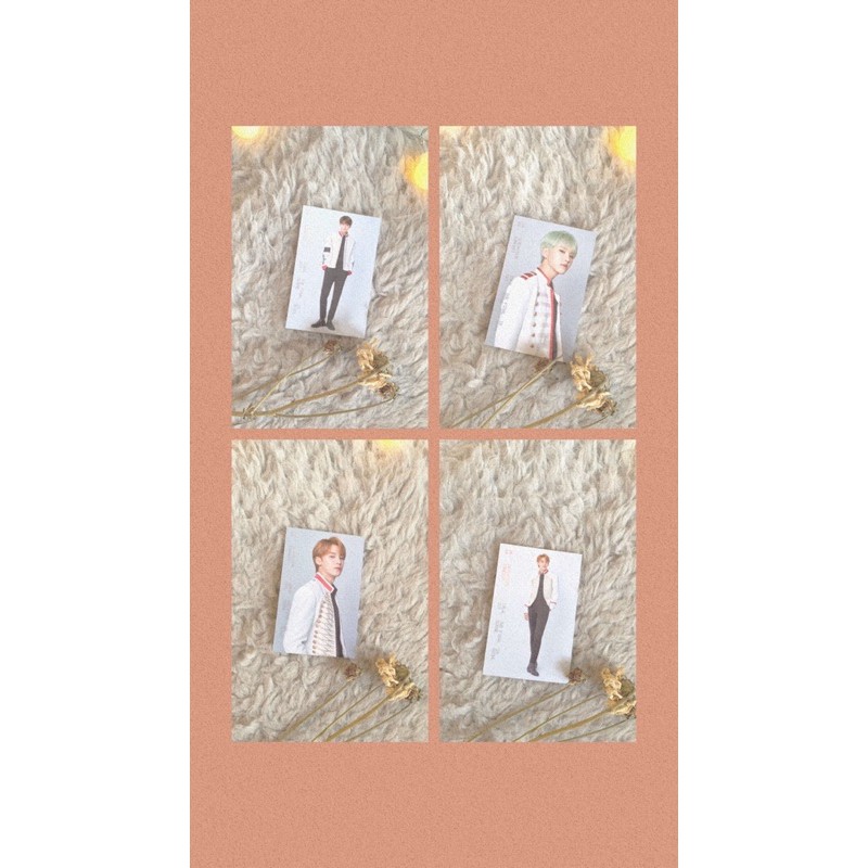 Seventeen Trading Card IDEAL CUT THE FINAL SCENE CONCERT 2018