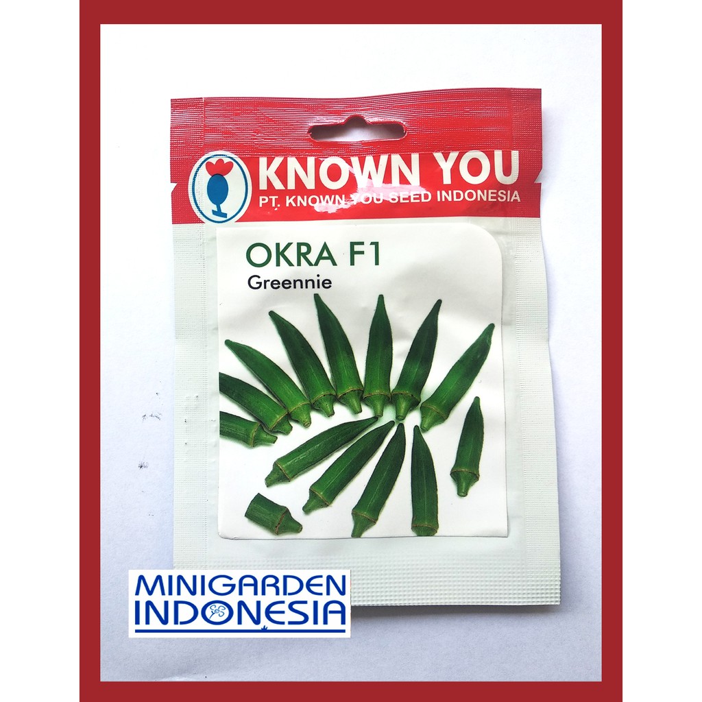 OKRA GREENNIE PACK KECIL 25 BIJI Benih Okra Hijau Grenie grennie F1 unggul Known You Seed bibit tanaman sayur sayuran