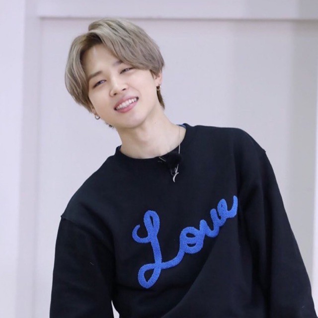 JIMIN SWEATER LOVE DNA RUN BTS