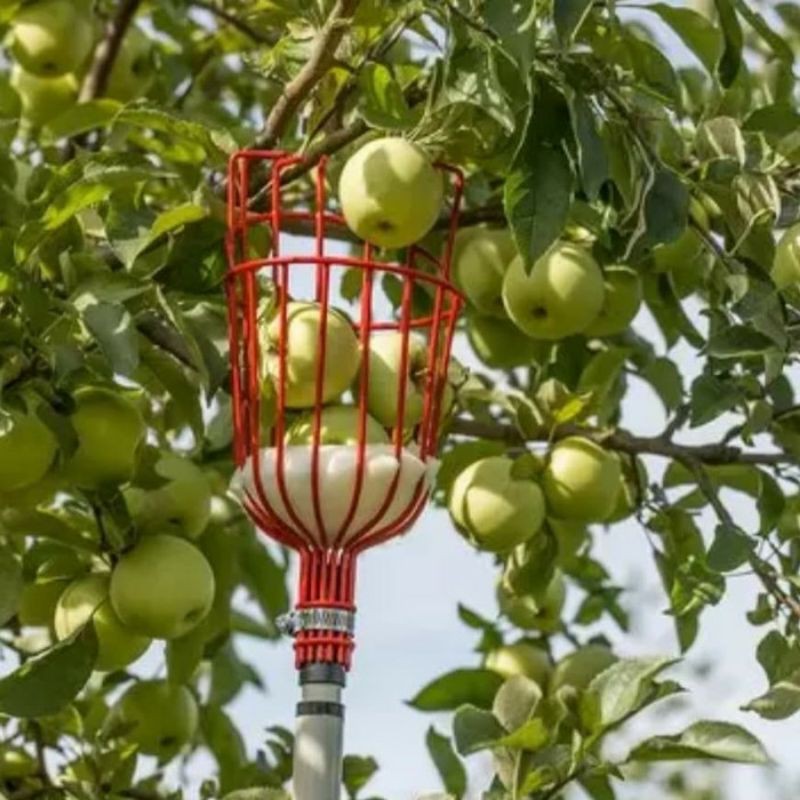 Galah Max 5 Meter Panjang Pendek Bisa Disesuaikan Untuk Ambil Buah Di Ketinggian