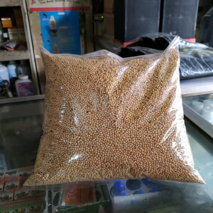 Jual Milet Putih Pakan Burung Kiloan 1kg - Makanan Burung Lovebird | Shopee Indonesia