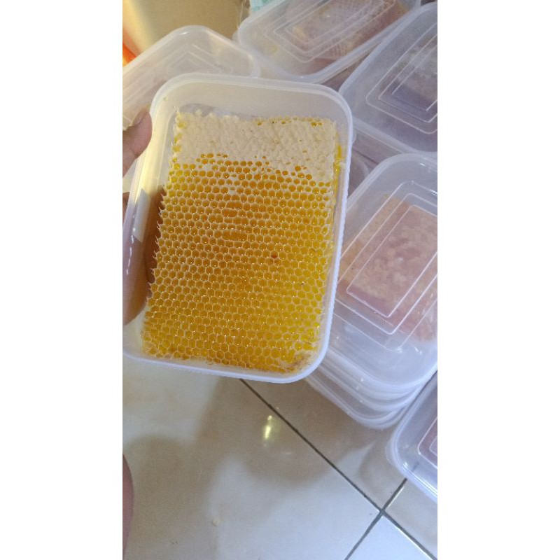 500 gram 3 pcs sarang madu apis melifera madu sarang madu asli madu murni