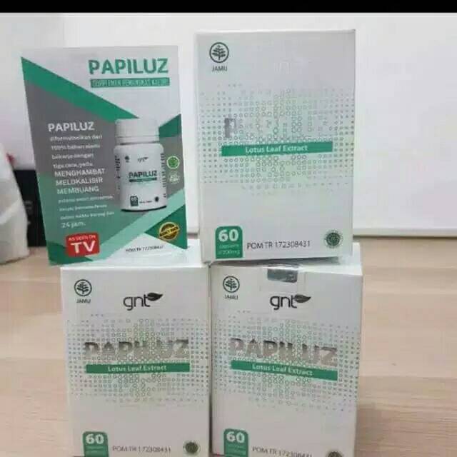 Papiluz 100% original Gnt slimming herbal 60 kapsul