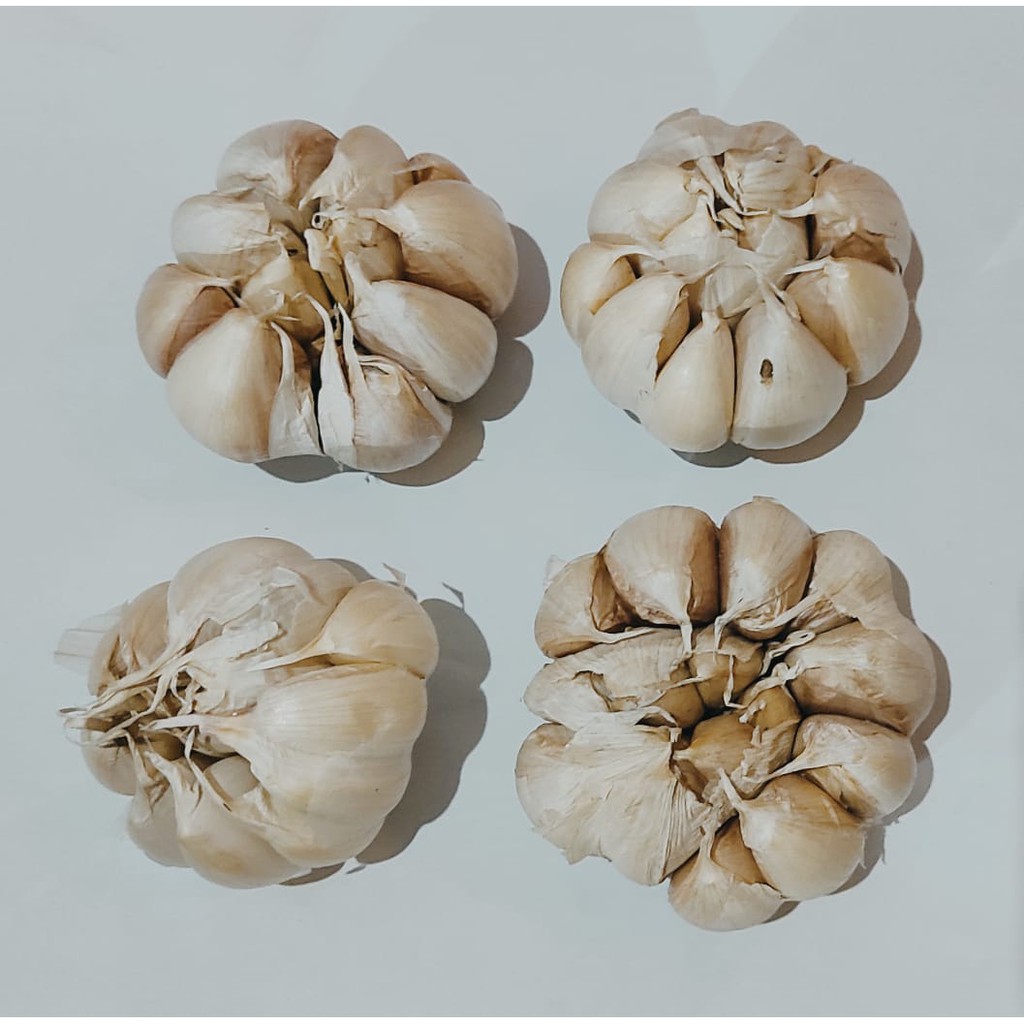 

Bawang putih Honan/biasa