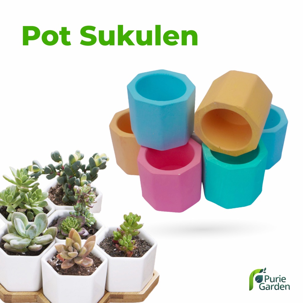 Pot Semen Mini Kaktus Sukulen Pot Mini Cantik PG KDR