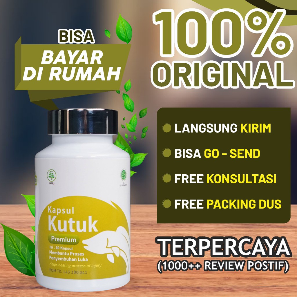 Obat Luka Langsung Kering || Paket Diabetes 3 Botol Kapsul Kutuk Premium 5x Cepat Sembuh Diabetes Ikan Gabus Tingkatkan Kadar Albumin &amp; Daya Tahan Tubuh Perbaiki Gizi Buruk