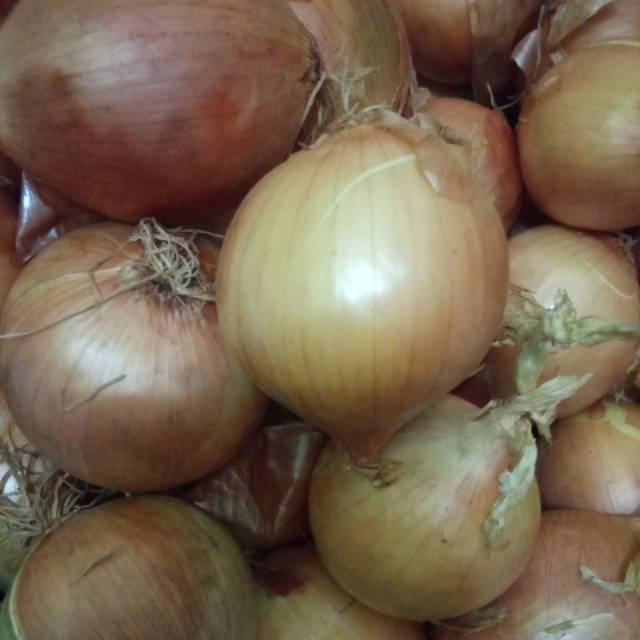 

Bawang bombay onion Pyaz piyaj