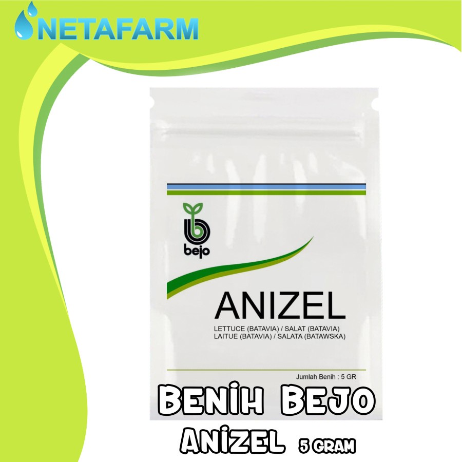 Benih / Biji / Bibit BEJO ANIZEL Selada Batavia - Kemasan 5 Gram