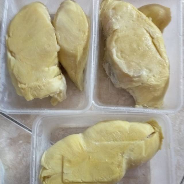 

Durian montong sulawesi