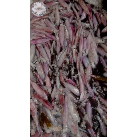 

CUMI FRESH KEMASAN 1Kg
