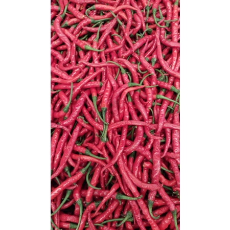 

Cabe Merah Keriting 1kg