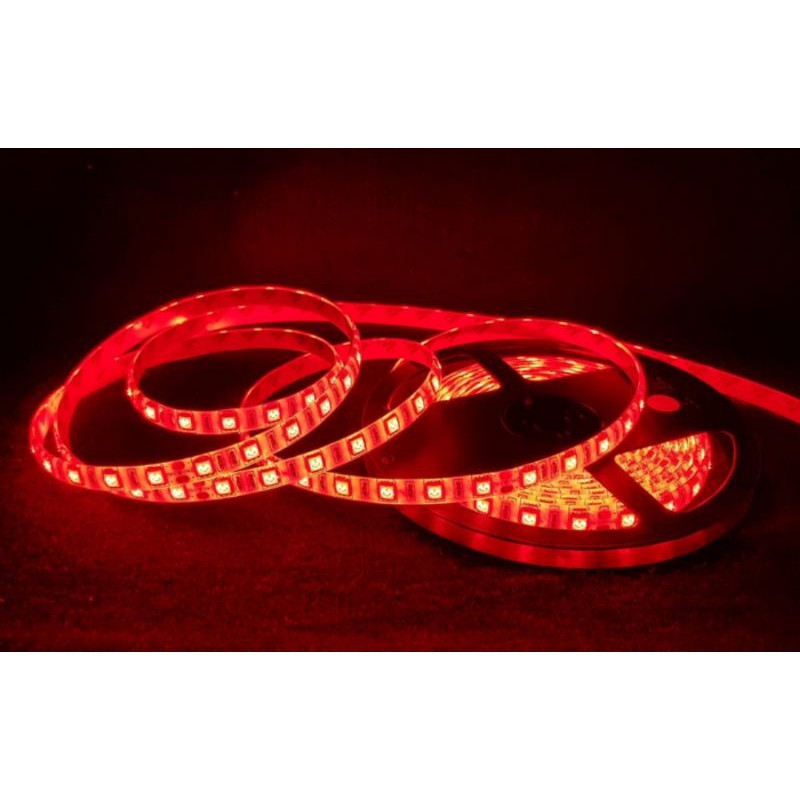 FLEX STRIP SMD 5050 24 V 5 meter