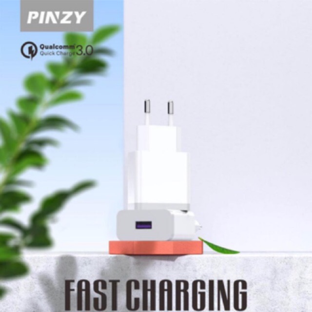 Cas PINZY Original Charger T12 Series Support Qualcomm Quick Charger 3.0