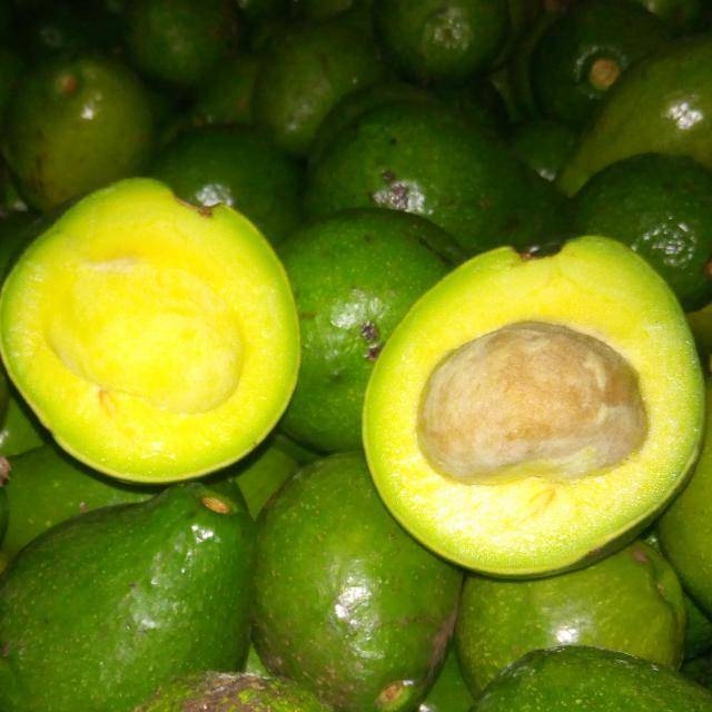 

Alpukat mentega
