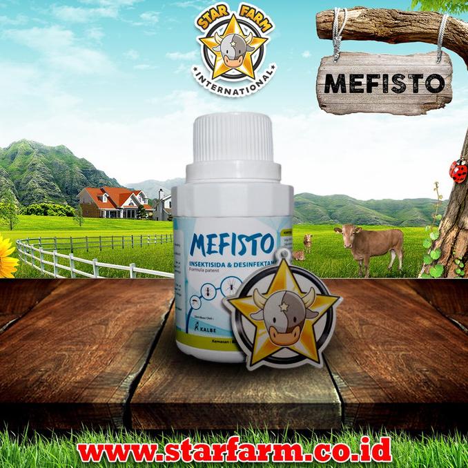 #####] Mefisto