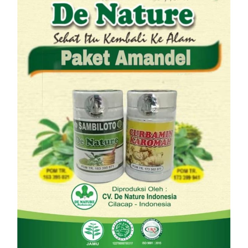 Obat Amandel Tanpa Operasi De Nature