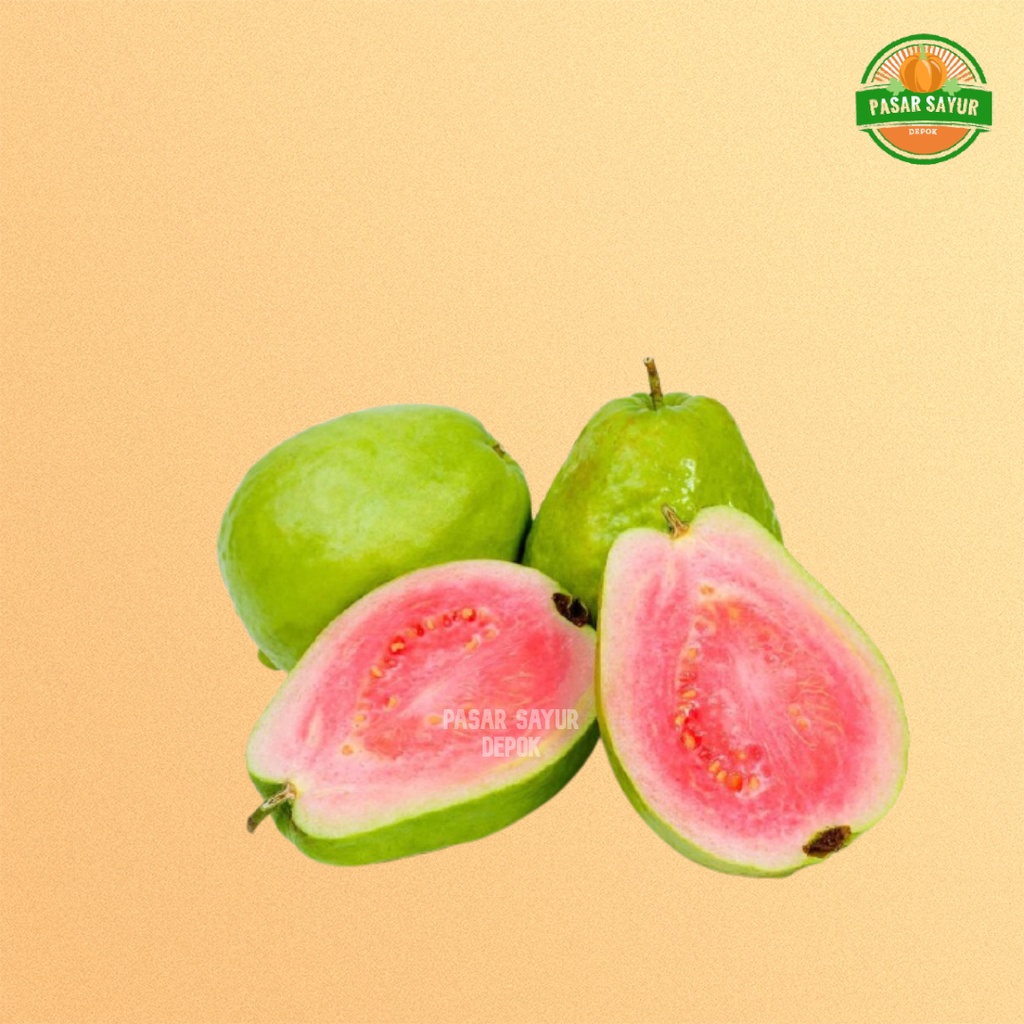 JAMBU BIJI SEGAR / JAMBU BIJI MERAH