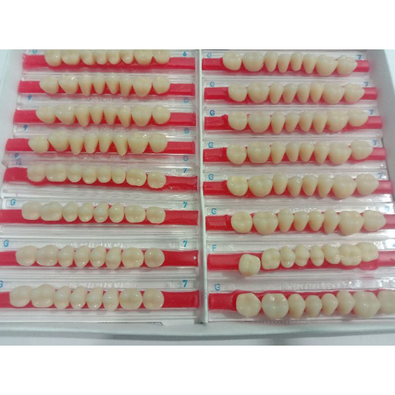 Gigi Geraham Italdent