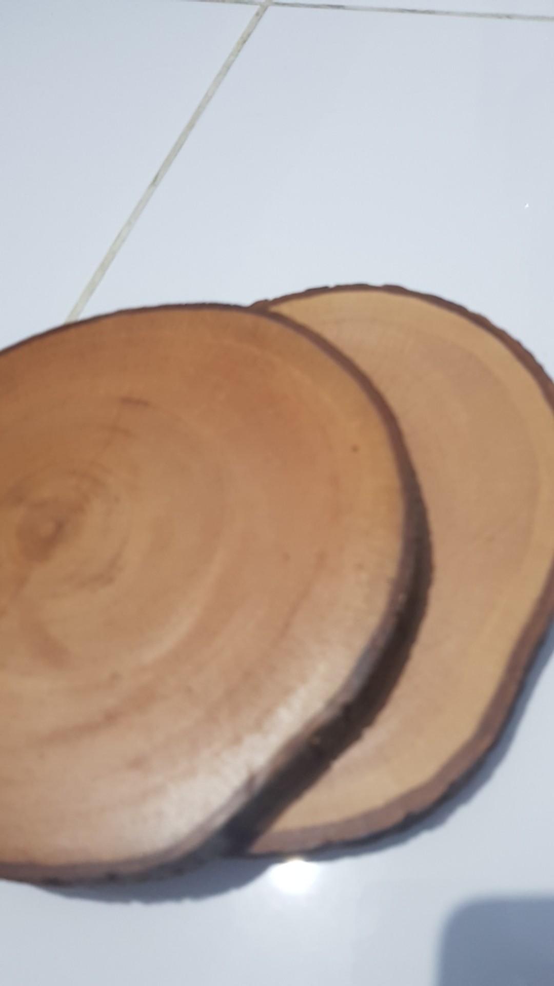 Wood Slice Tree Slice 19-20 Cm Dekorasi Pernikahan Rustic Talenan Tray