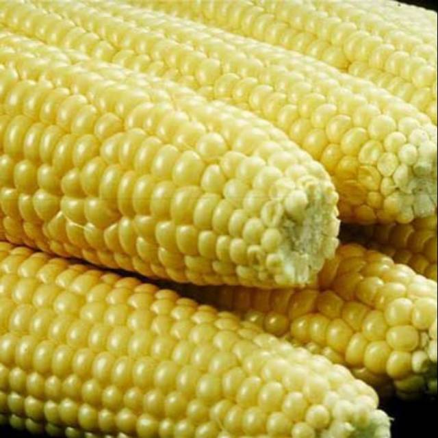 

Jagung Manis
