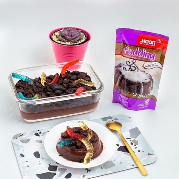 HAAN Pudding Instan Mix Pouch - Rasa Mangga 170 Gr dan Coklat 145 Gr