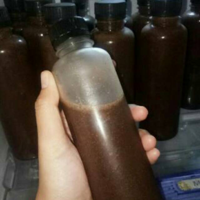 

NISSEAN COCOLATA