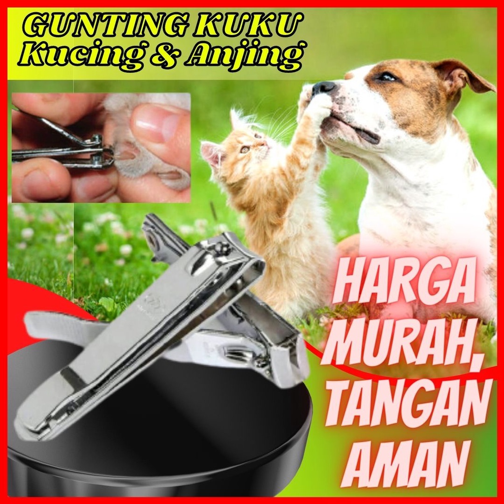 GUNTING KUKU MIRING - Gunting Kuku Kitten Kucing Monpai Sugar Glider Kelinci FEZONE