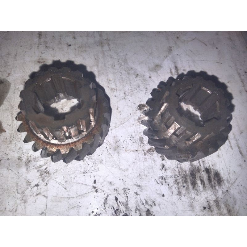 gigi primer yamaha v 80